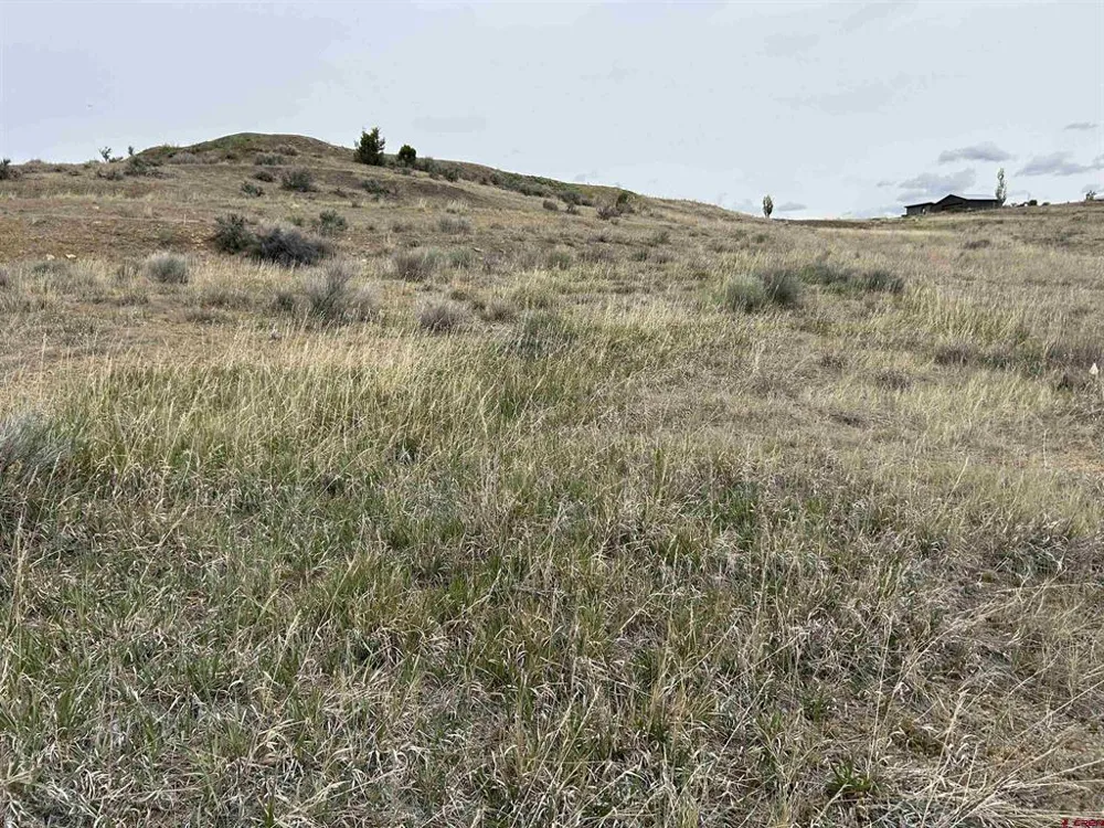 Hwy 184 Lewis, CO 81327