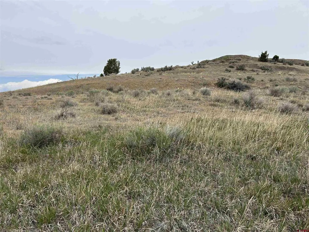 Hwy 184 Lewis, CO 81327
