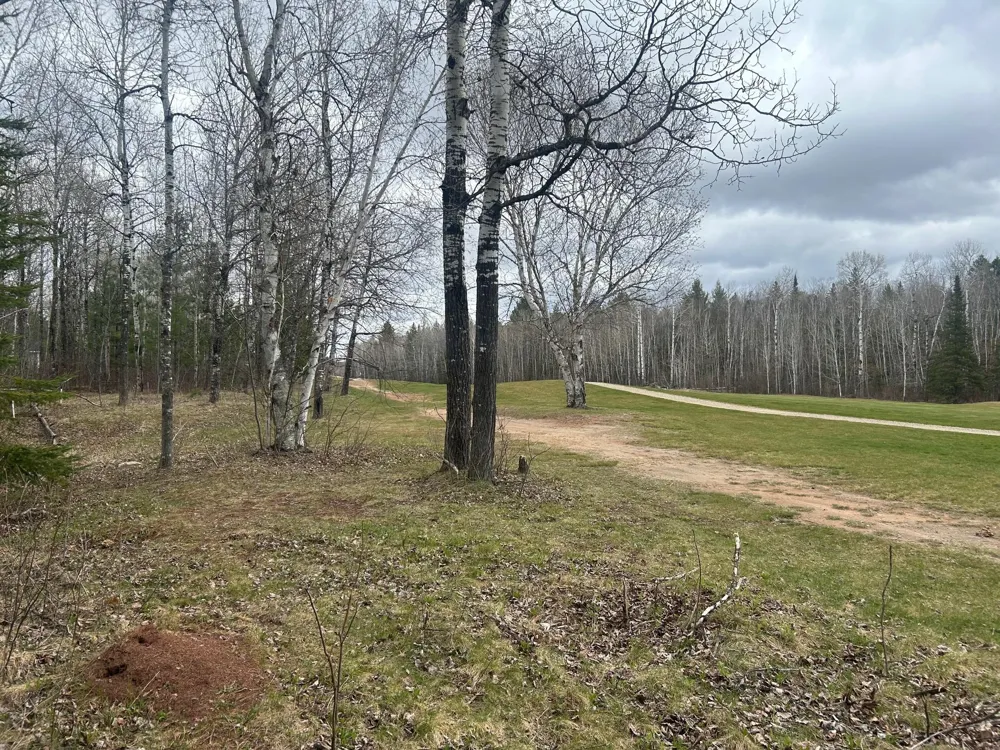 TBD N Birch Drive Coleraine, MN 55721