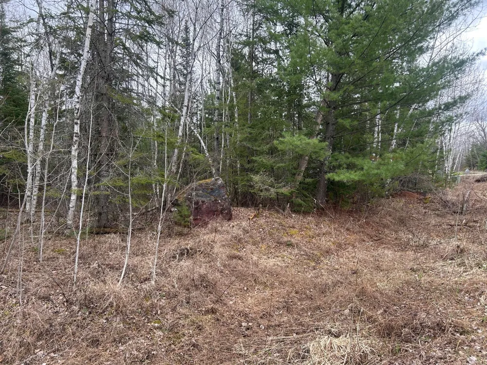 TBD N Birch Drive Coleraine, MN 55721