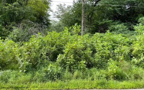 Lot 27 Sneaking Creek Drive