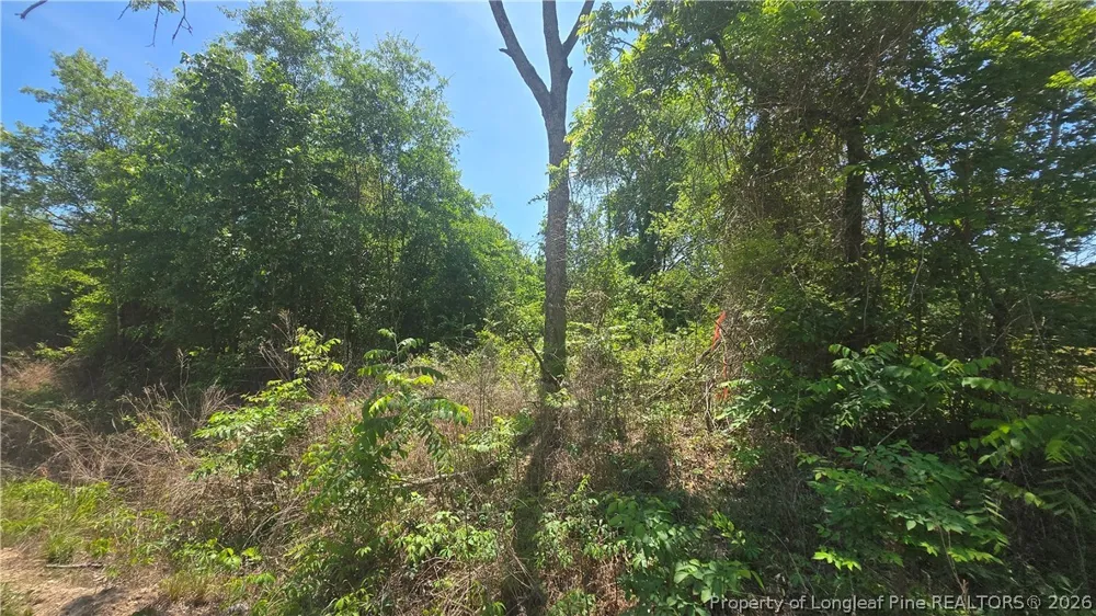 1634 Sweetie Road Fayetteville, NC 28312