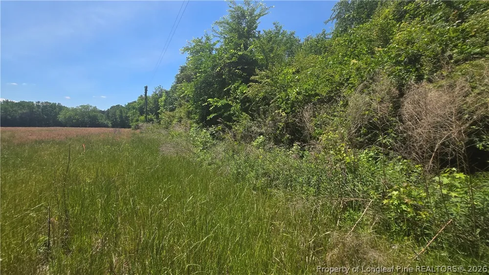 1634 Sweetie Road Fayetteville, NC 28312