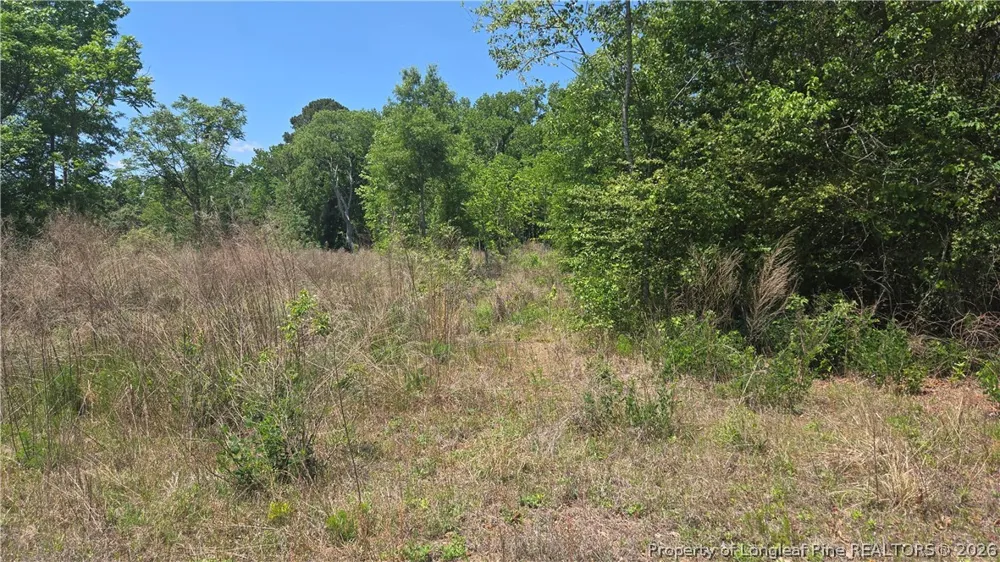 1634 Sweetie Road Fayetteville, NC 28312