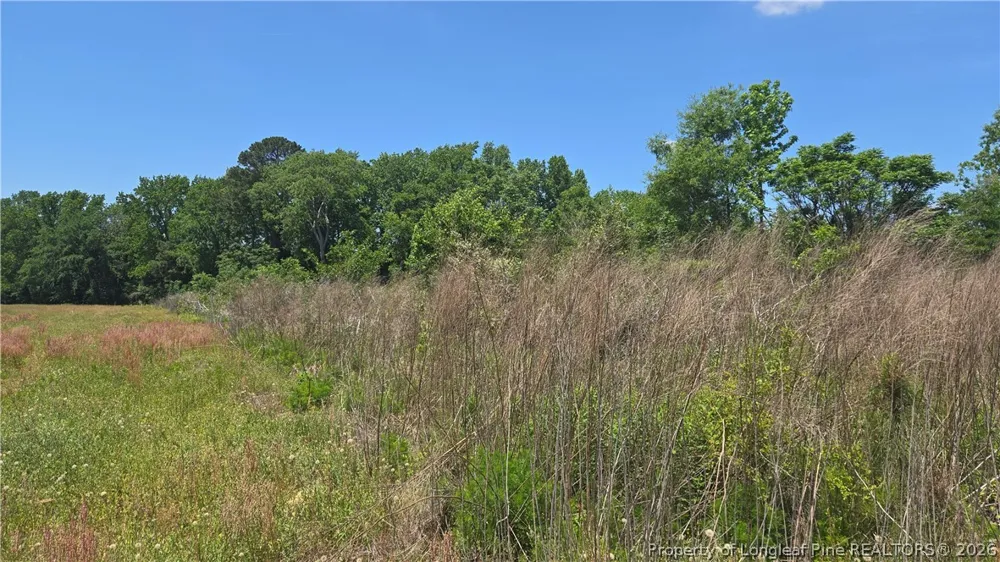 1634 Sweetie Road Fayetteville, NC 28312