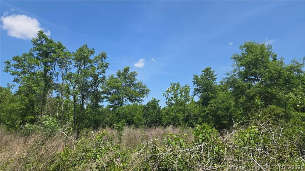 1634 Sweetie Road Fayetteville, NC 28312