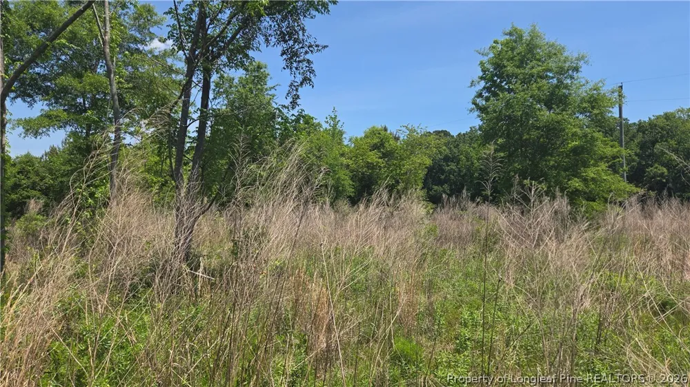1634 Sweetie Road Fayetteville, NC 28312