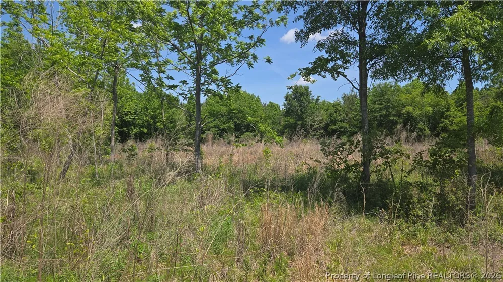 1634 Sweetie Road Fayetteville, NC 28312