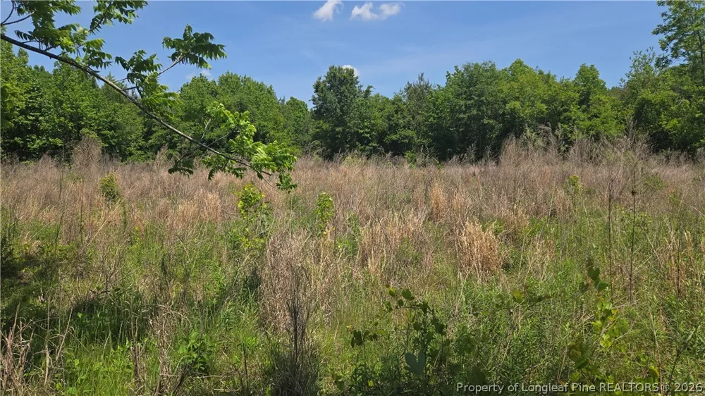 1634 Sweetie Road Fayetteville, NC 28312