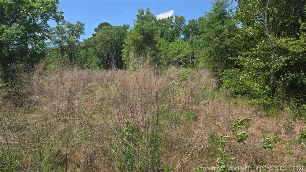 1634 Sweetie Road Fayetteville, NC 28312