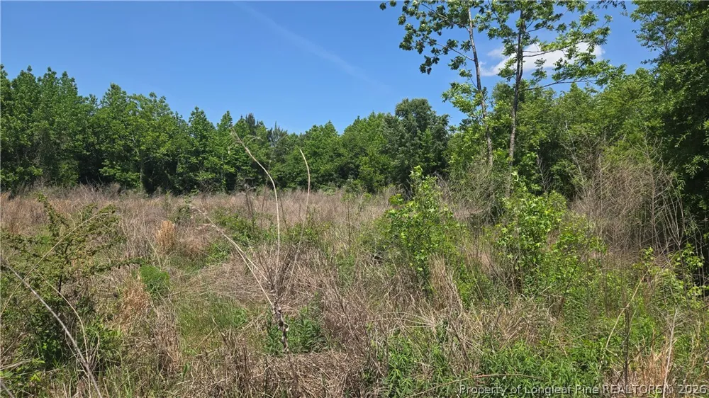 1634 Sweetie Road Fayetteville, NC 28312