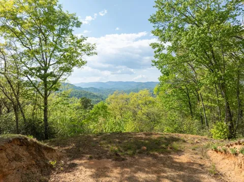 Breedlove Road