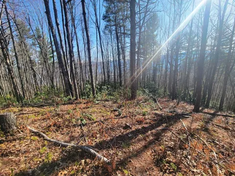 Digging Seng Trail #138,