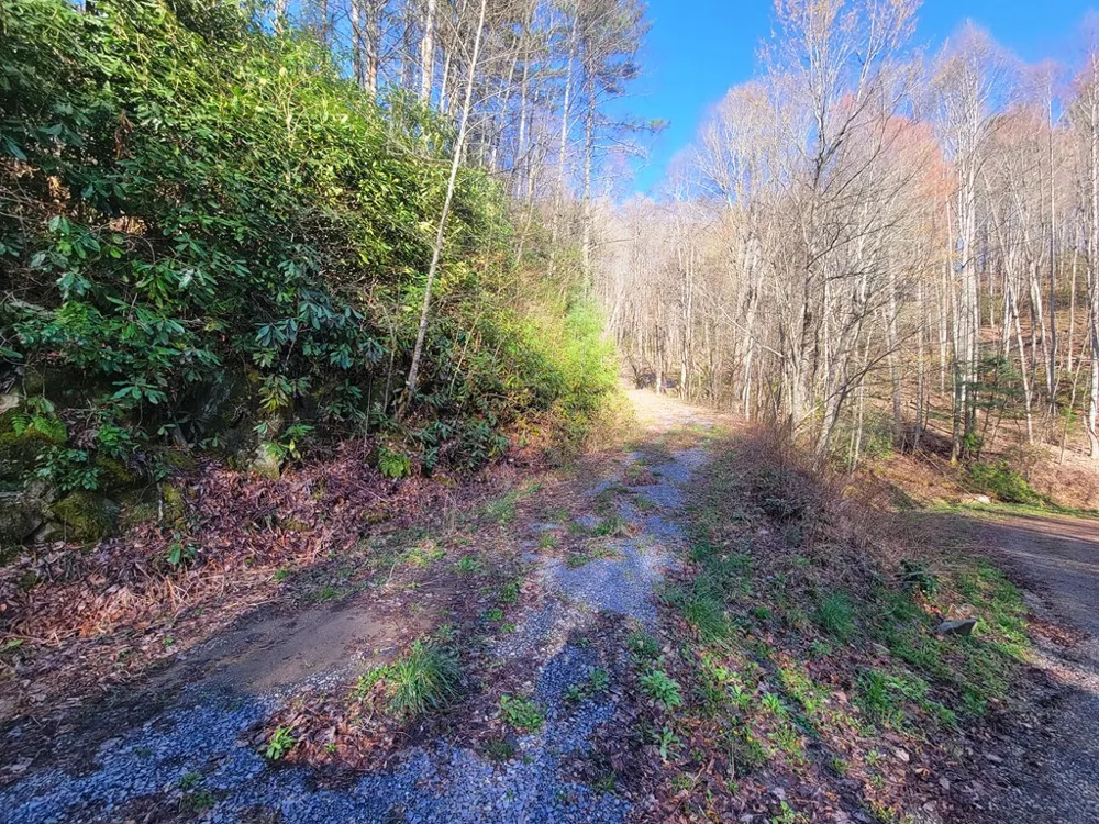 Digging Seng Trail #138, Waynesville, NC 28785