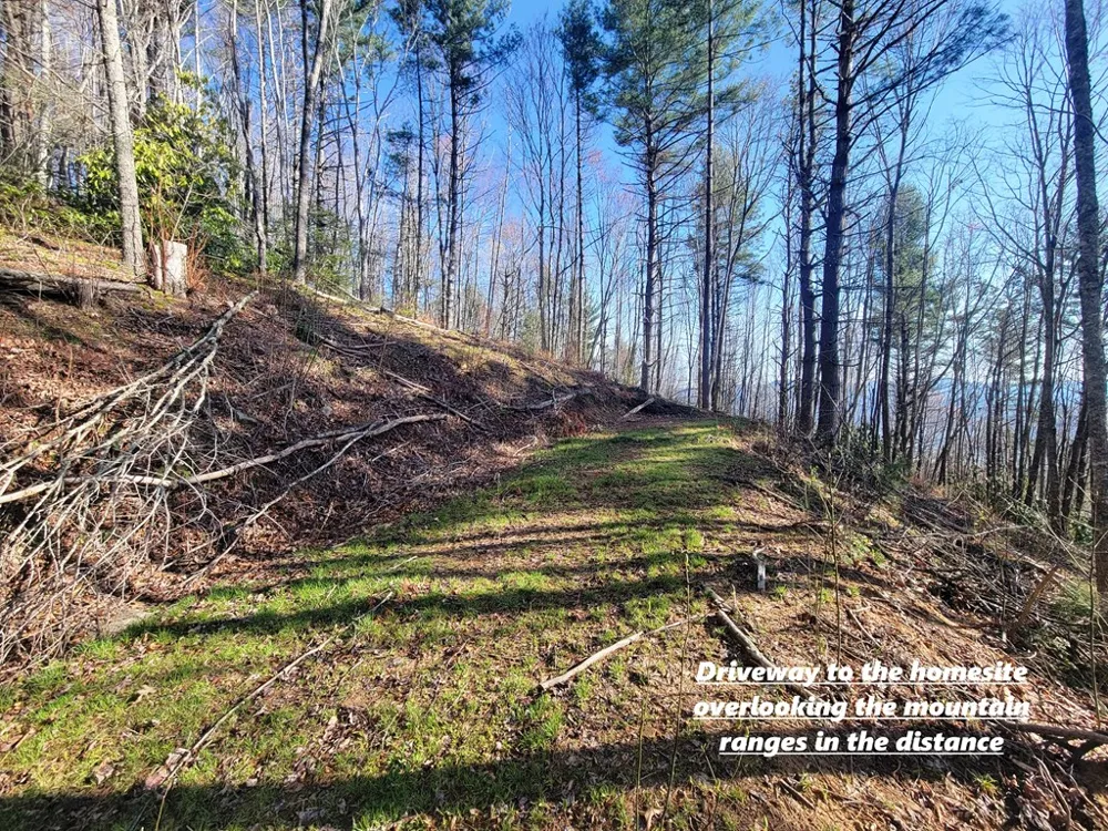 Digging Seng Trail #138, Waynesville, NC 28785
