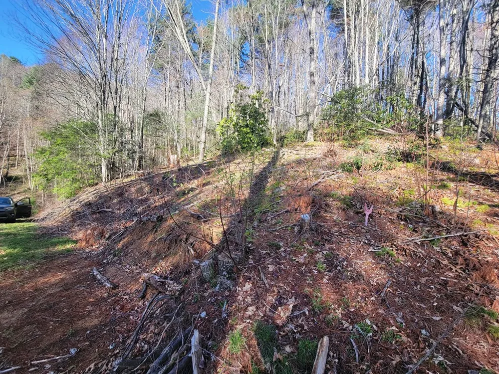 Digging Seng Trail #138, Waynesville, NC 28785