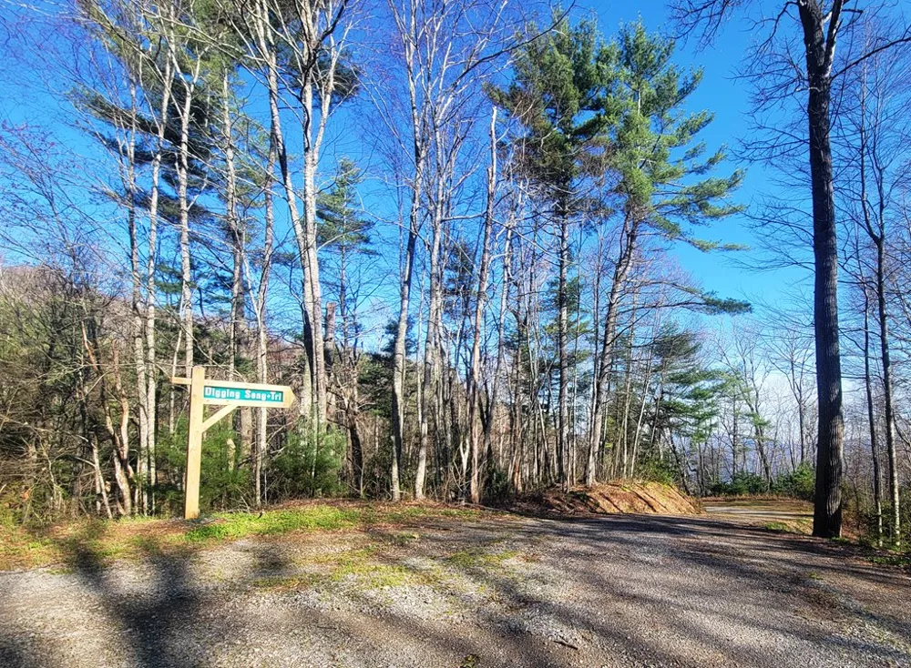 Digging Seng Trail #138, Waynesville, NC 28785