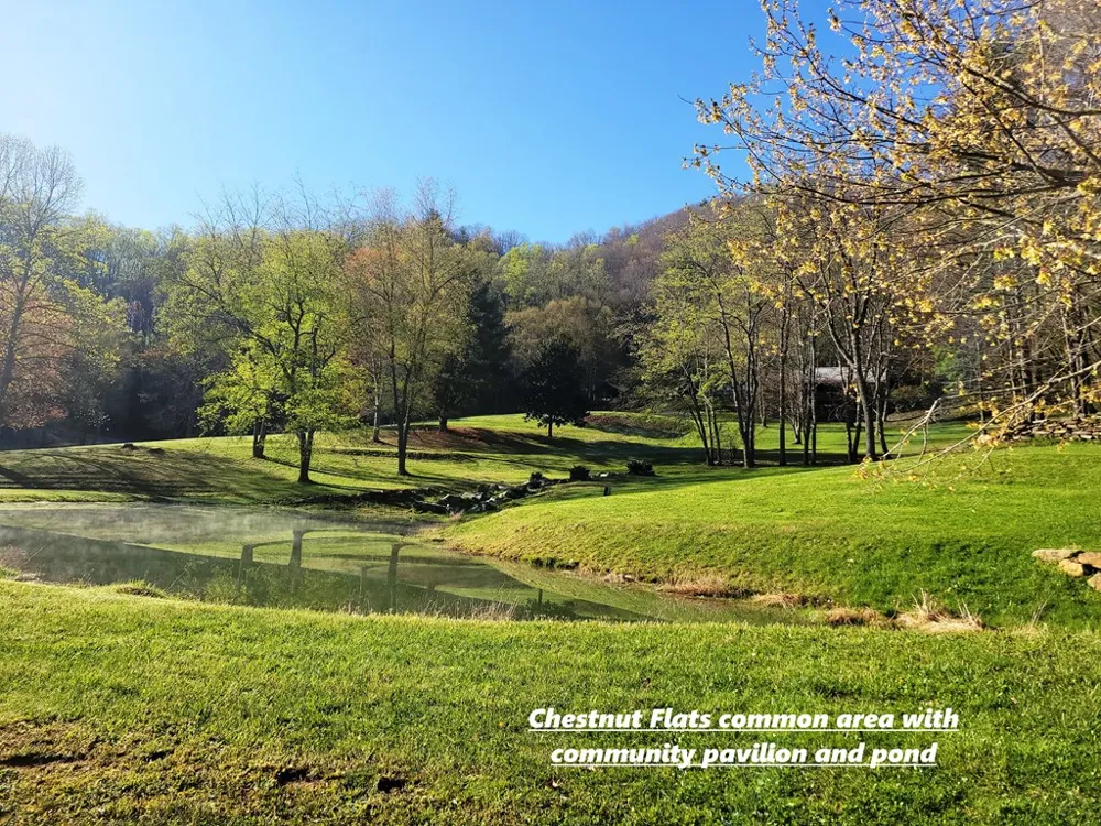 Digging Seng Trail #138, Waynesville, NC 28785