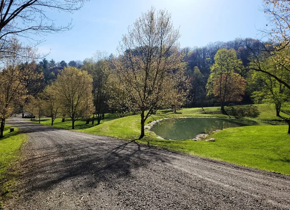 Digging Seng Trail #138, Waynesville, NC 28785