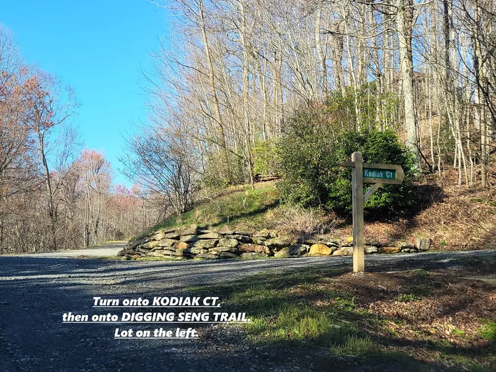 Digging Seng Trail #138, Waynesville, NC 28785