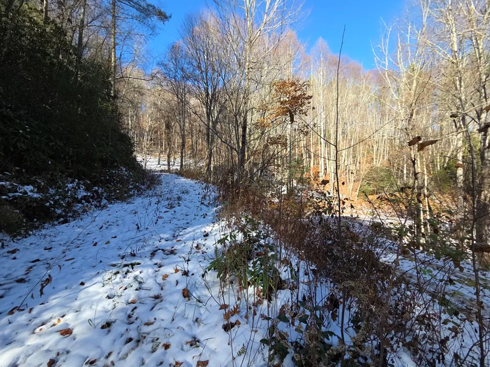 Digging Seng Trail #138, Waynesville, NC 28785