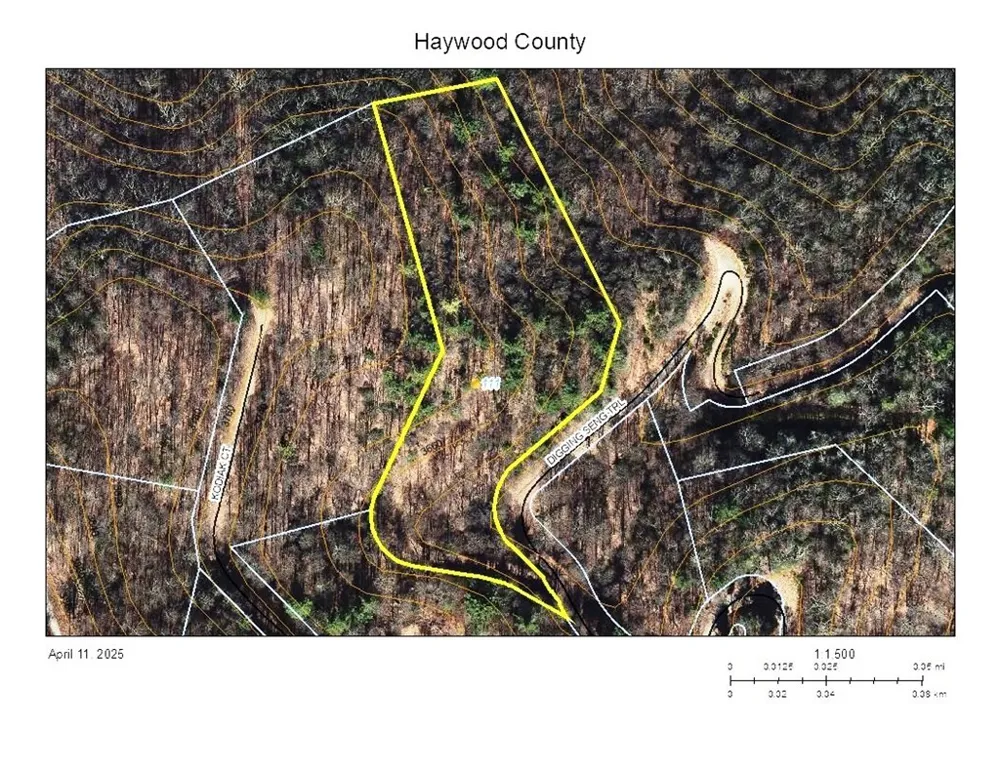 Digging Seng Trail #138, Waynesville, NC 28785