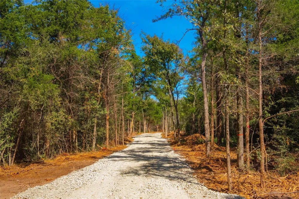12556 Red Hill Rd Hearne, TX 77859