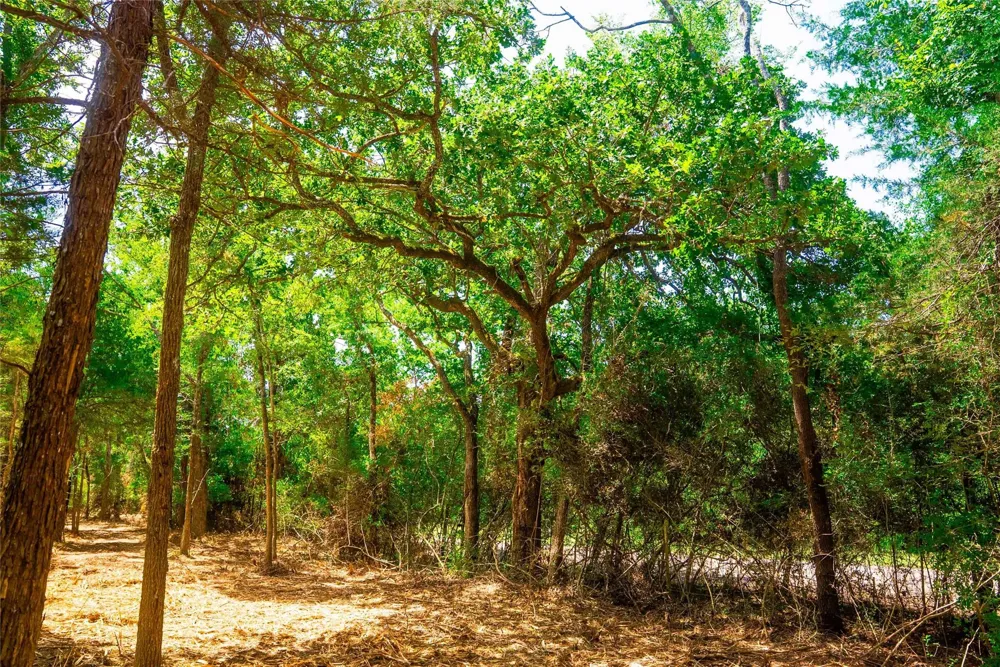 12556 Red Hill Rd Hearne, TX 77859