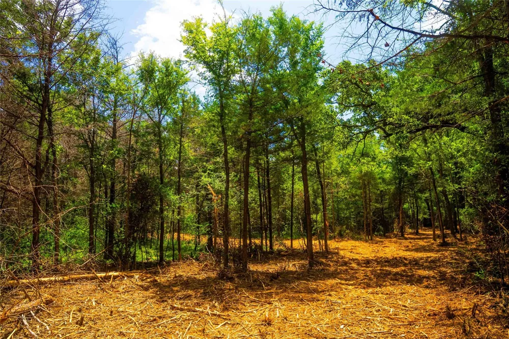 12556 Red Hill Rd Hearne, TX 77859