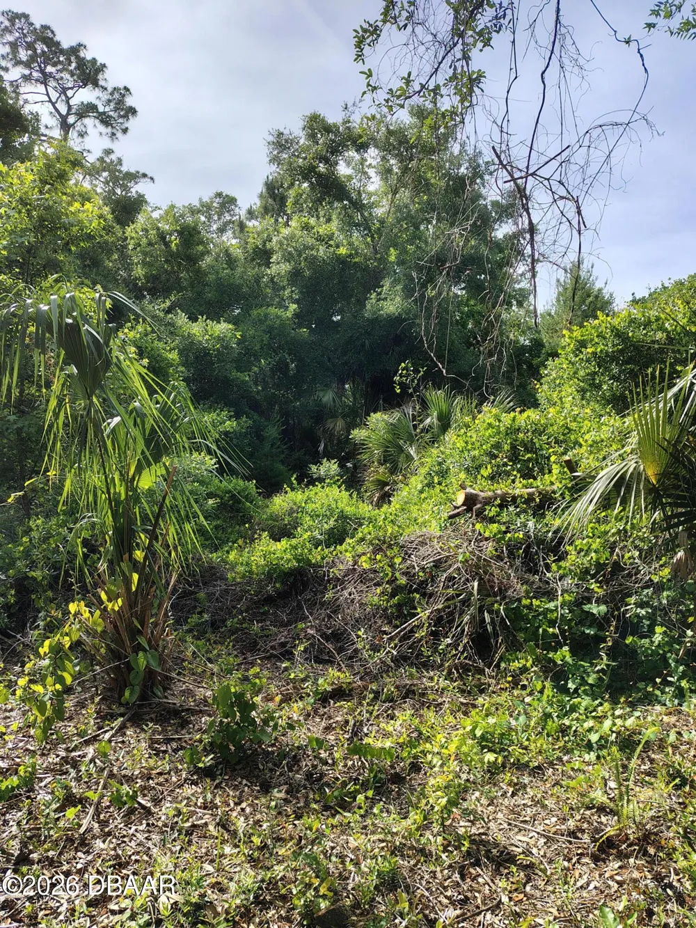 124 Lynwood Lane Ormond Beach, FL 32174