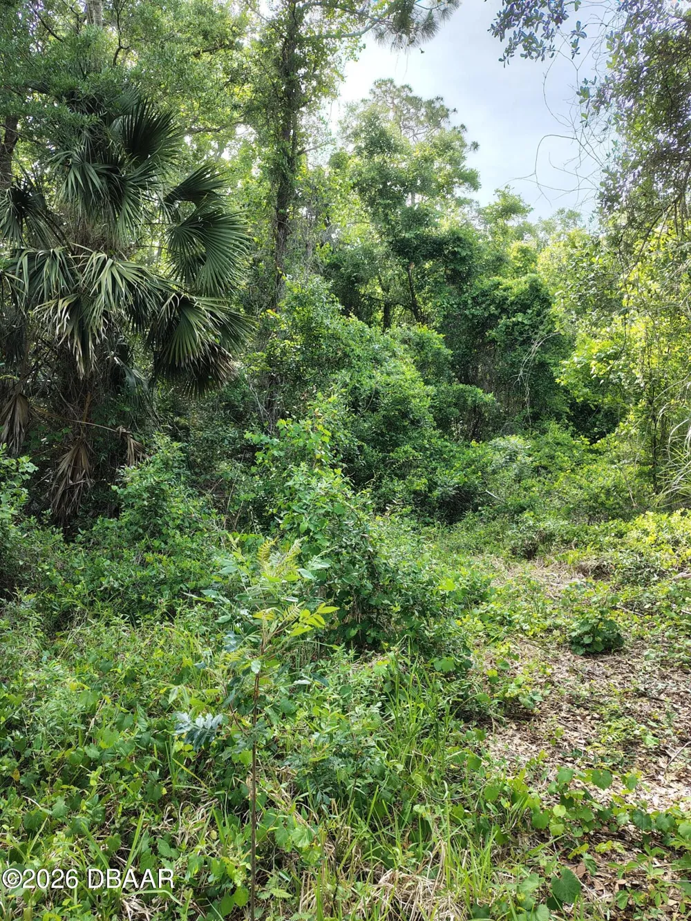 124 Lynwood Lane Ormond Beach, FL 32174
