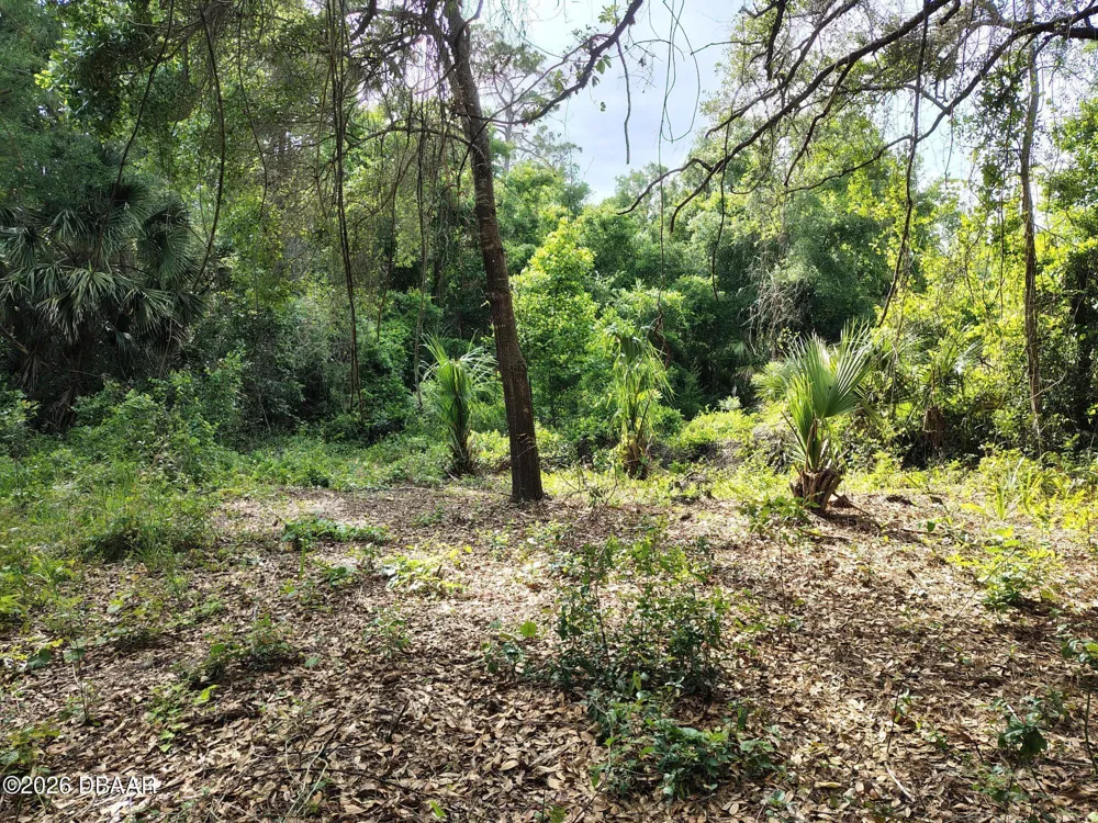 124 Lynwood Lane Ormond Beach, FL 32174