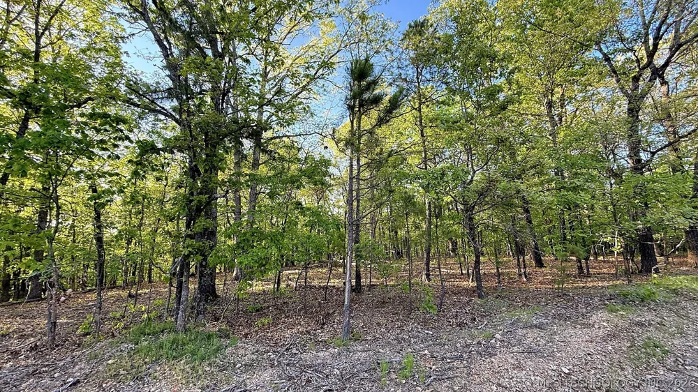 187 Bear Lake Road Kansas, OK 74347