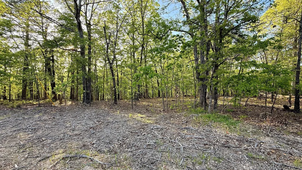 187 Bear Lake Road Kansas, OK 74347