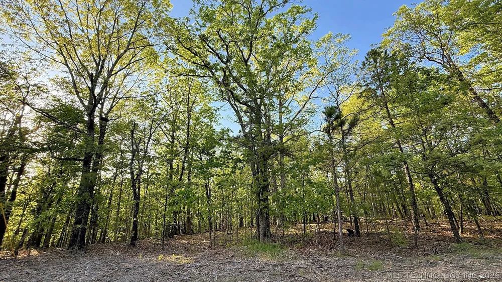 187 Bear Lake Road Kansas, OK 74347