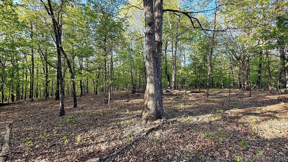 187 Bear Lake Road Kansas, OK 74347