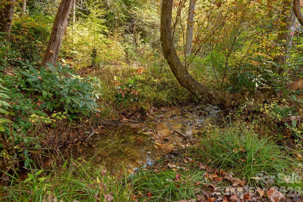 142 Davids Trace Pisgah Forest, NC 28768
