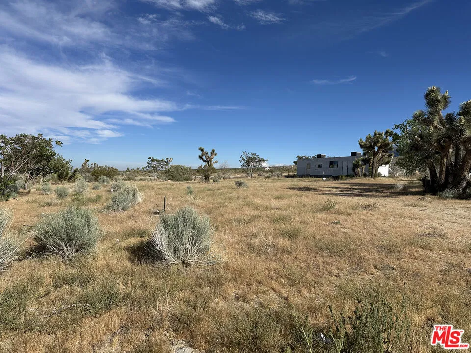 32049 213th Street Llano, CA 93544