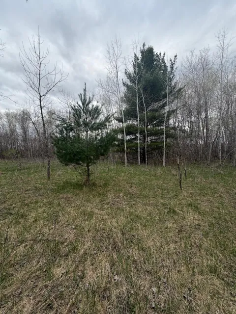 TBD Ottawa