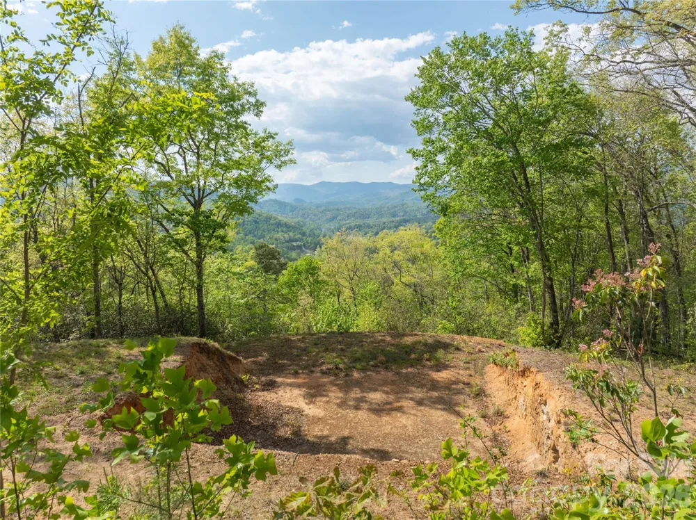 Lot 1 Breedlove Road Bryson City, NC 28713