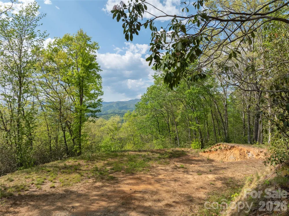 Lot 1 Breedlove Road Bryson City, NC 28713