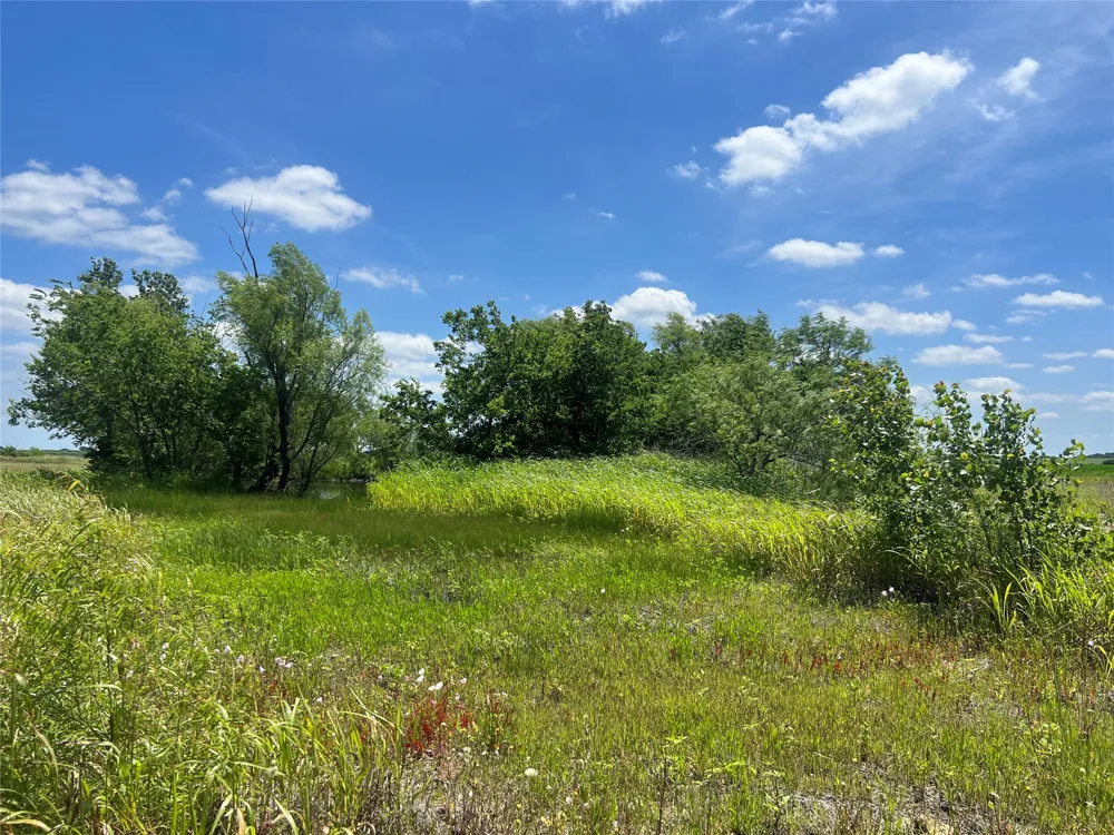 HCR 1153 Blum, TX 76627