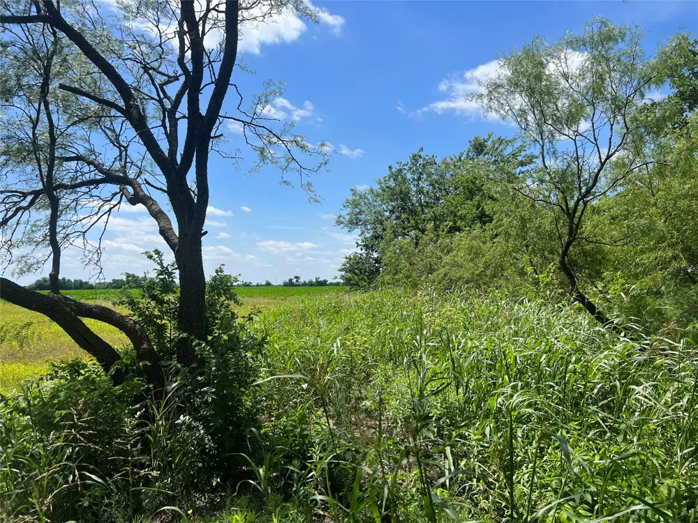 HCR 1153 Blum, TX 76627