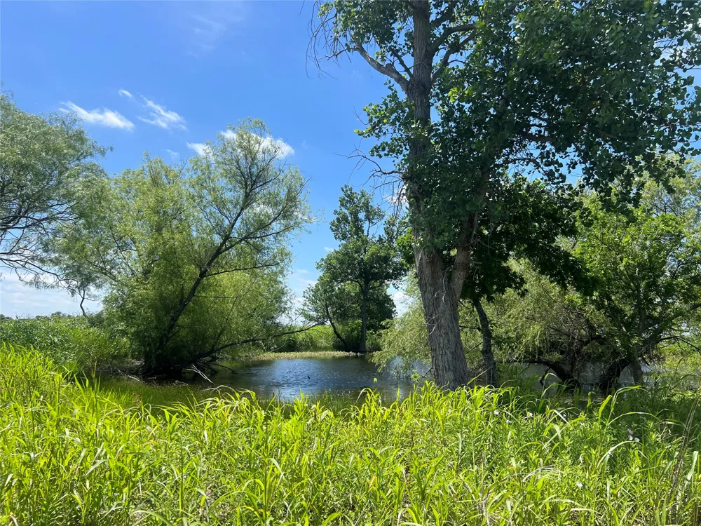 HCR 1153 Blum, TX 76627