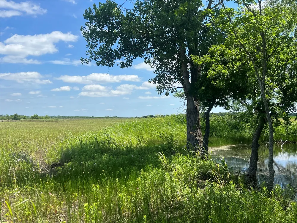 HCR 1153 Blum, TX 76627