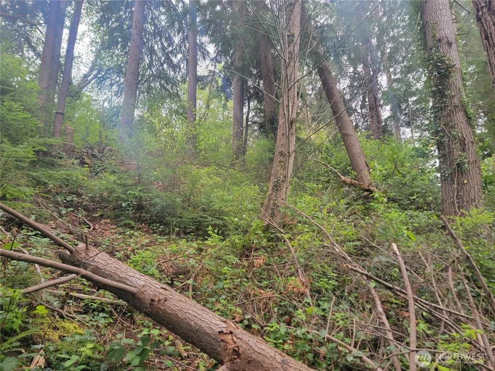 1600 Laura Street Aberdeen, WA 98520