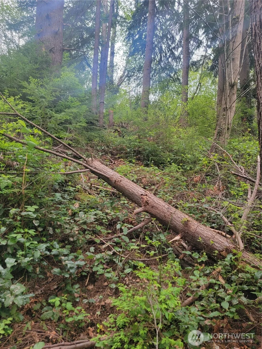 1600 Laura Street Aberdeen, WA 98520