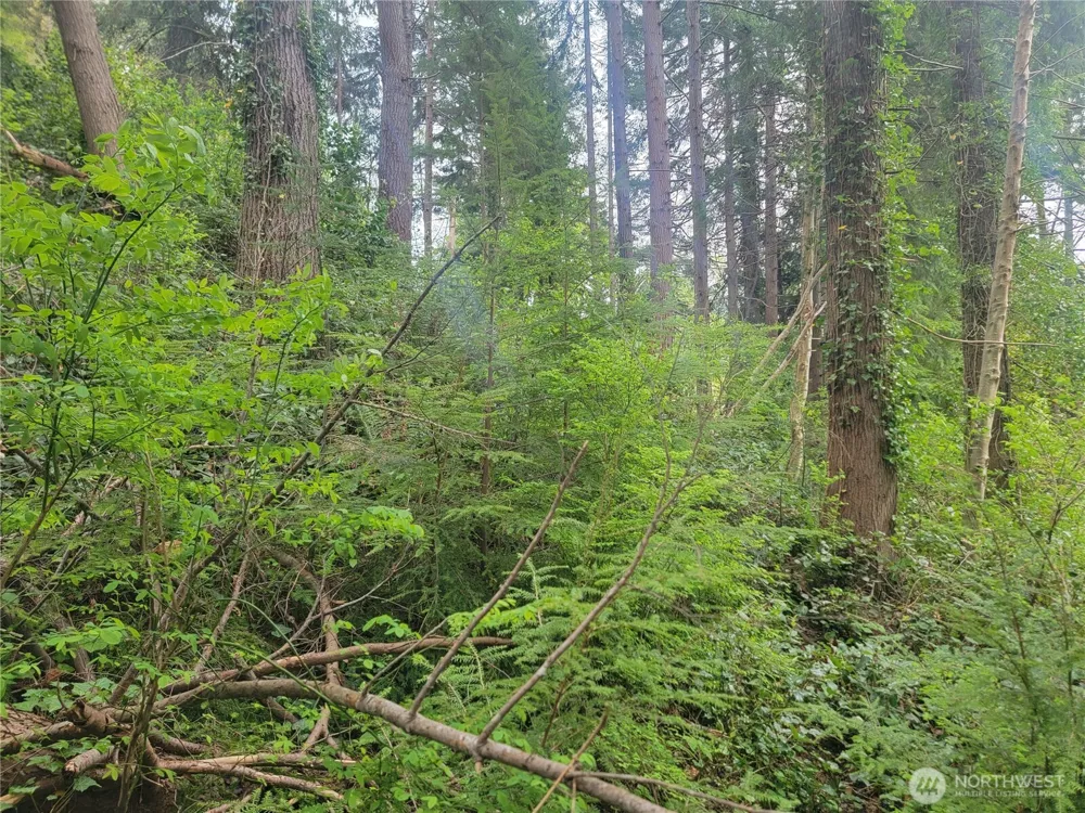 1600 Laura Street Aberdeen, WA 98520