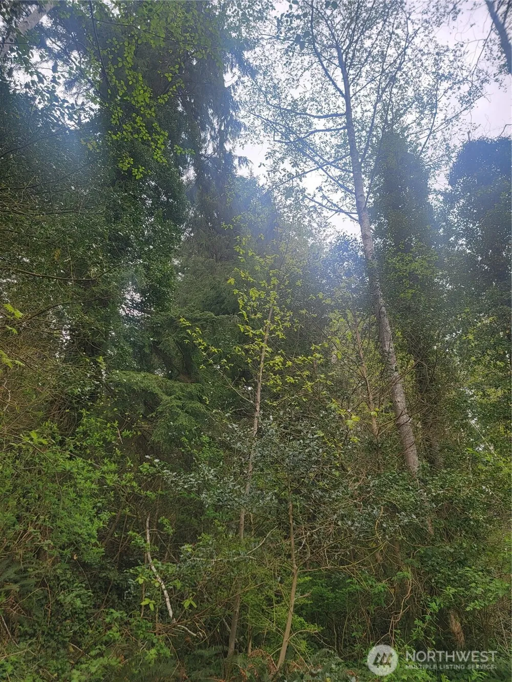 1600 Laura Street Aberdeen, WA 98520