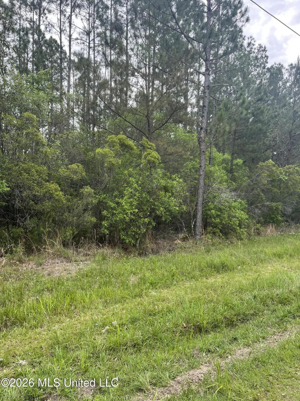 Lot 2 Leetown Road Picayune, MS 39466